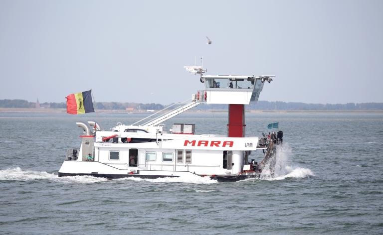MARA
