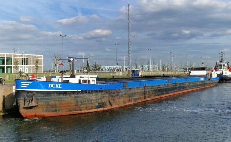 DUKE