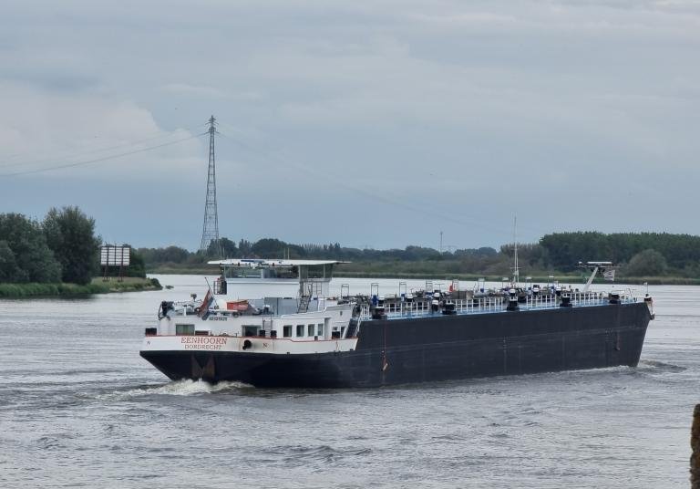 EENHOORN
