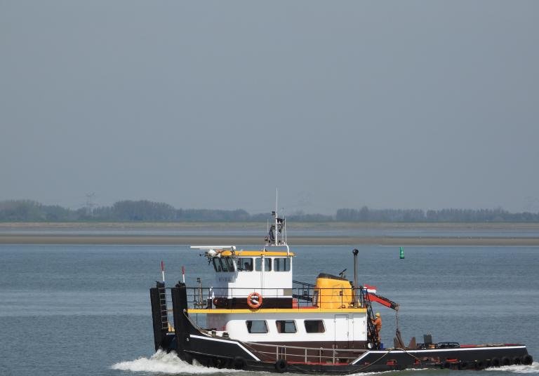 HENDRIK 7