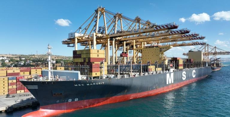 MSC MARGRIT XIII