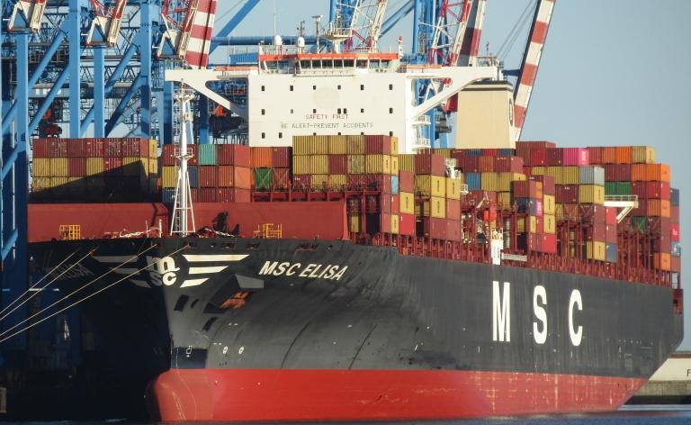 MSC ELISA XIII