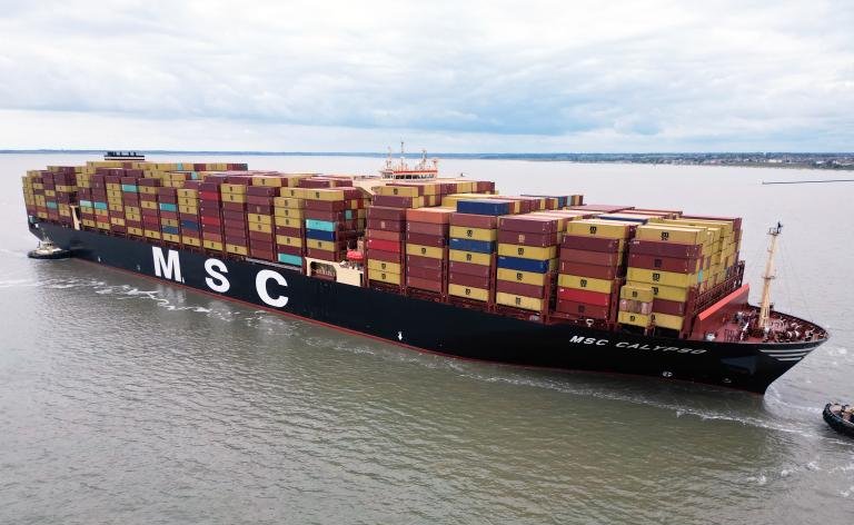 MSC CALYPSO