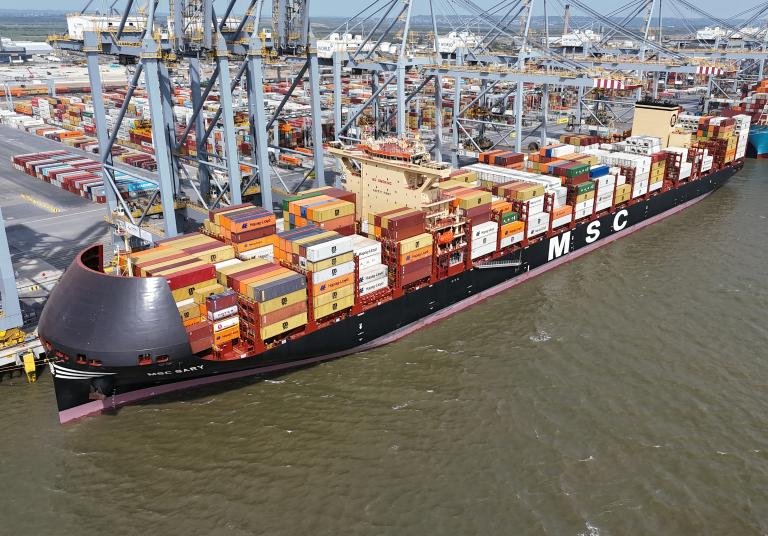 MSC SARY